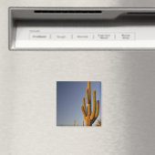 Giant Seguaro Cactus, orgelpijp Nat'l. Magneet (Insitu (Vaatwasser))