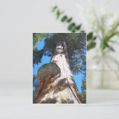 Giant Seqouia Briefkaart (Staand voorkant)