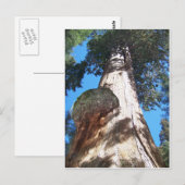 Giant Seqouia Briefkaart (Voorkant / Achterkant)