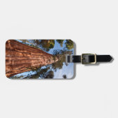 Giant Sequoia Ascends Bagagelabel (Voorkant horizontaal)