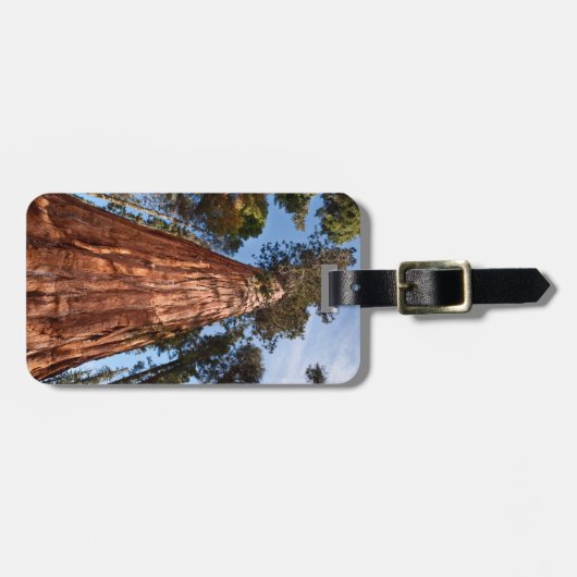 Giant Sequoia Ascends Bagagelabel (Voorkant horizontaal)