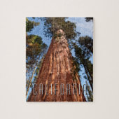 Giant Sequoia Ascends Legpuzzel (Verticaal)