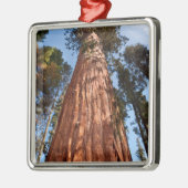 Giant Sequoia Ascends Metalen Ornament (Links)