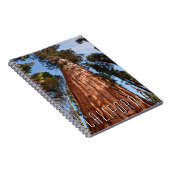 Giant Sequoia Ascends Notitieboek (Rechterzijde)