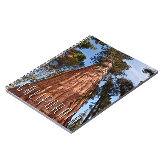 Giant Sequoia Ascends Notitieboek (Linkerzijde)