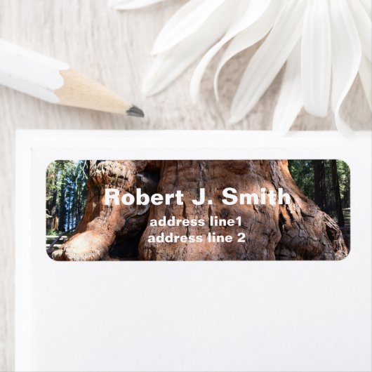 Giant sequoia boomstam persoonlijke adresetiketten etiket (Insitu)