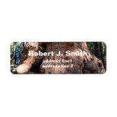 Giant sequoia boomstam persoonlijke adresetiketten etiket (Voorkant)