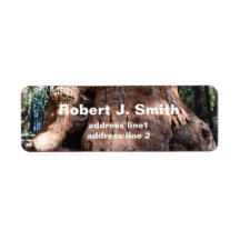 Giant sequoia boomstam persoonlijke adresetiketten