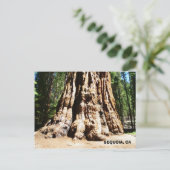 Giant Sequoia Briefkaart! Briefkaart (Staand voorkant)