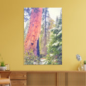 Giant Sequoia Canvas Afdruk (Insitu (Woonkamer))