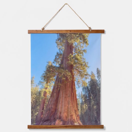Giant Sequoia Hangend Wandkleed (Voorkant)