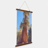 Giant Sequoia Hangend Wandkleed (Gebogen)
