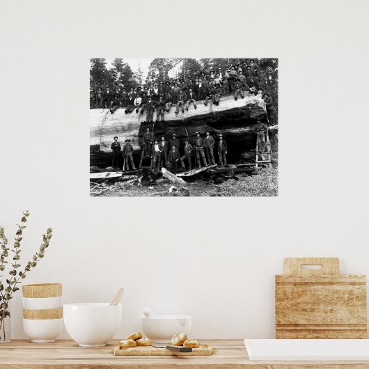 GIANT SEQUOIA LOG PORTRAIT c. 1890 Poster (Keuken)