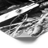 GIANT SEQUOIA LOG PORTRAIT c. 1890 Poster (Hoek)