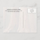 Giant Sequoia, Nationaal Park Sequoia, Californië Briefkaart (Achterkant)