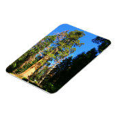 Giant Sequoia National Monument Magneet (Linkerzijde)