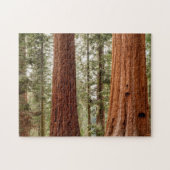 Giant Sequoia Panorama Legpuzzel (Horizontaal)