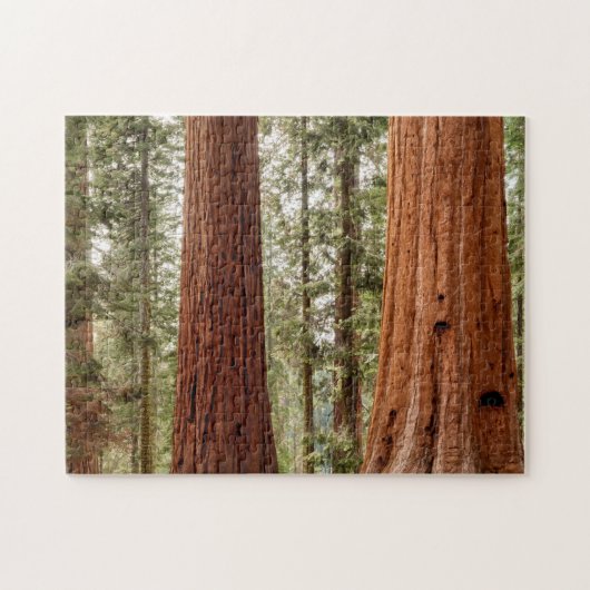 Giant Sequoia Panorama Legpuzzel (Horizontaal)