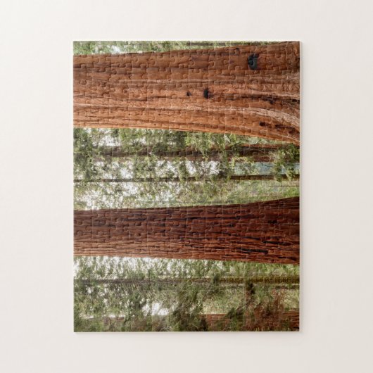 Giant Sequoia Panorama Legpuzzel (Verticaal)