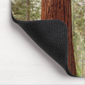 Giant Sequoia Panorama Muismat (Hoek)