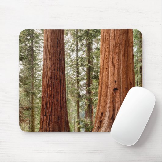 Giant Sequoia Panorama Muismat (Met muis)