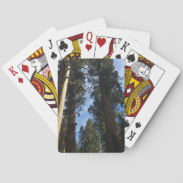 Giant Sequoia Pokerkaarten