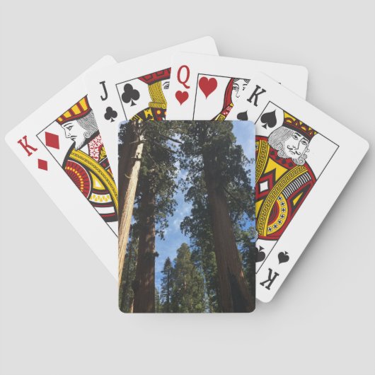 Giant Sequoia Pokerkaarten (Achterkant)