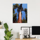 Giant Sequoia Poster (Thuiskantoor)