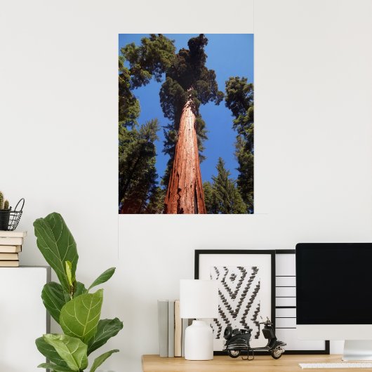 Giant Sequoia Poster (Thuiskantoor)