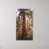 Giant Sequoia Redwood Wrapped Canvas Print (Voorkant)