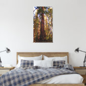 Giant Sequoia Redwood Wrapped Canvas Print (Insitu (Slaapkamer))