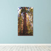 Giant Sequoia Redwood Wrapped Canvas Print (Insitu (Houten vloer))