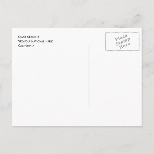Giant Sequoia, Sequoia National Park Oudere versie Briefkaart (Achterkant)