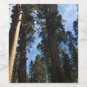 Giant Sequoia Sky Uitzicht Wijn Etiket (Enkel label)