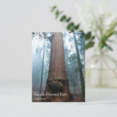 Giant Sequoia Tree in Grant Grove, CA-Briefkaart Briefkaart (Staand voorkant)