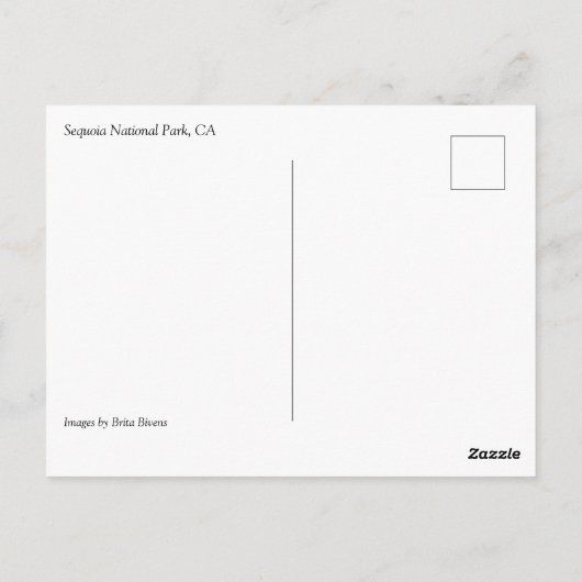 Giant Sequoia Tree in Grant Grove, CA-Briefkaart Briefkaart (Achterkant)