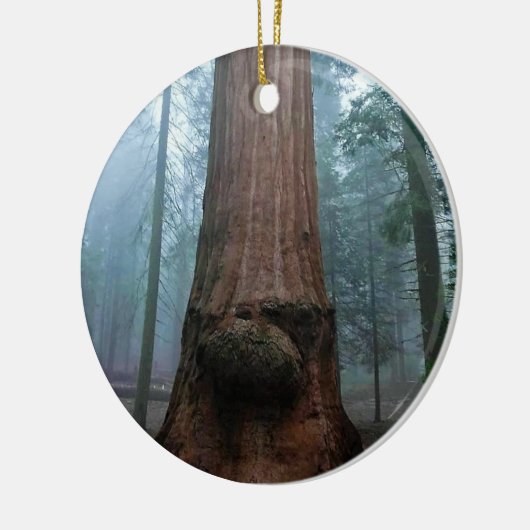 Giant Sequoia Tree in Grant Grove, CA Keramisch Ornament (Links)