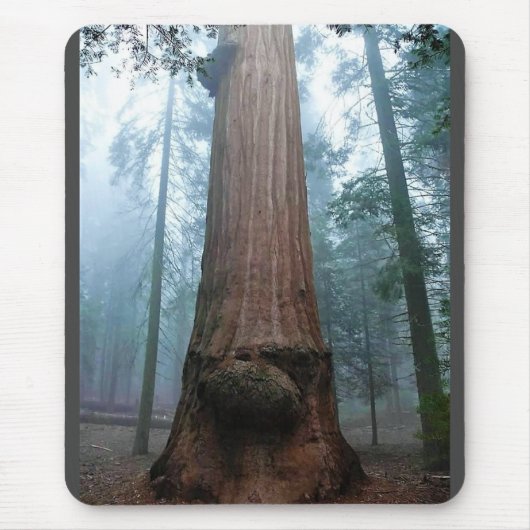 Giant Sequoia Tree in Grant Grove, CA Muismat (Voorkant)