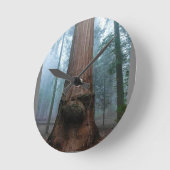 Giant Sequoia Tree in Grant Grove, CA Ronde Klok (Hoek)