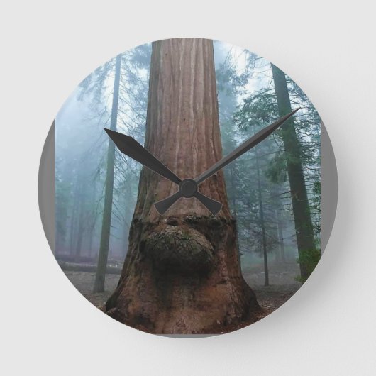Giant Sequoia Tree in Grant Grove, CA Ronde Klok (Voorkant)