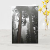 Giant Sequoia Trees in de mist, CA Kaart (Gele Bloem)