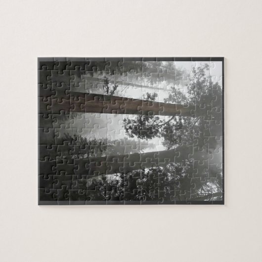 Giant Sequoia Trees in de mist, CA Legpuzzel (Horizontaal)