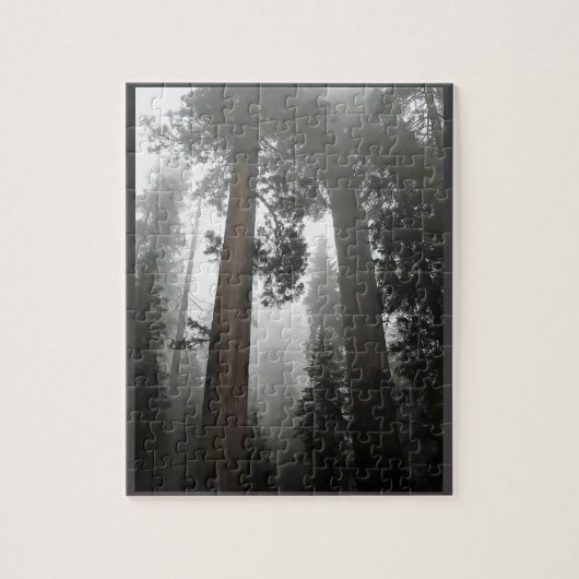 Giant Sequoia Trees in de mist, CA Legpuzzel (Verticaal)