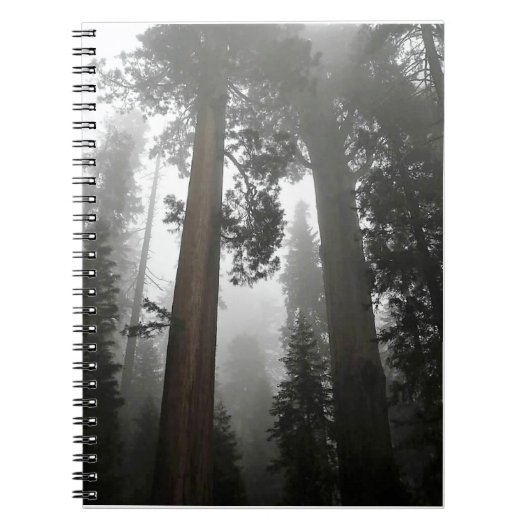 Giant Sequoia Trees in de mist, CA Notitieboek (Voorkant)