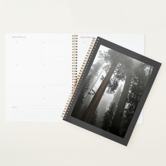 Giant Sequoia Trees in de mist, CA Planner (Display)