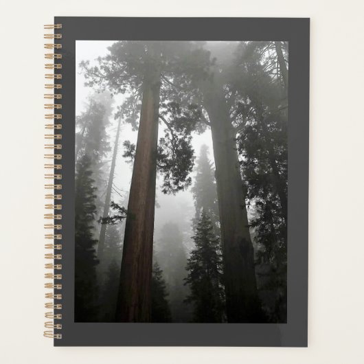 Giant Sequoia Trees in de mist, CA Planner (Voorkant)