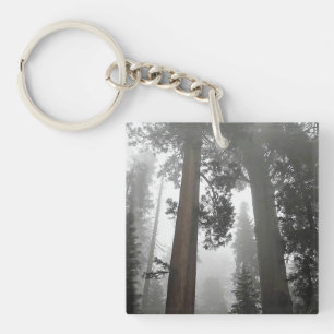 Giant Sequoia Trees in de mist, CA Sleutelhanger