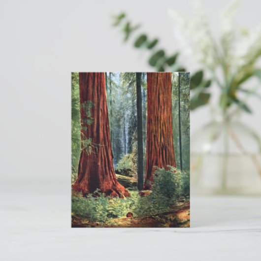 Giant Sequoia Trunks Briefkaart (Staand voorkant)