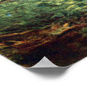 Giant Sequoia Trunks Poster (Hoek)