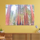 Giant Sequoias Canvas Afdruk (Insitu (Woonkamer))
